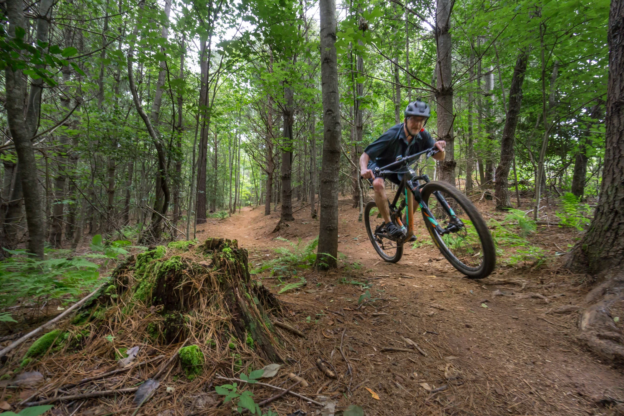 Lake James in Motion: Singletrack, Shorelines, and a Day in Western North Carolina's Playground